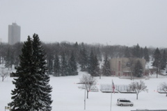 DSC_0004.JPG
