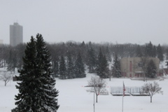 DSC_0005.JPG