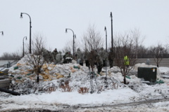 DSC_0055.JPG