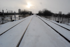 DSC_0098.JPG