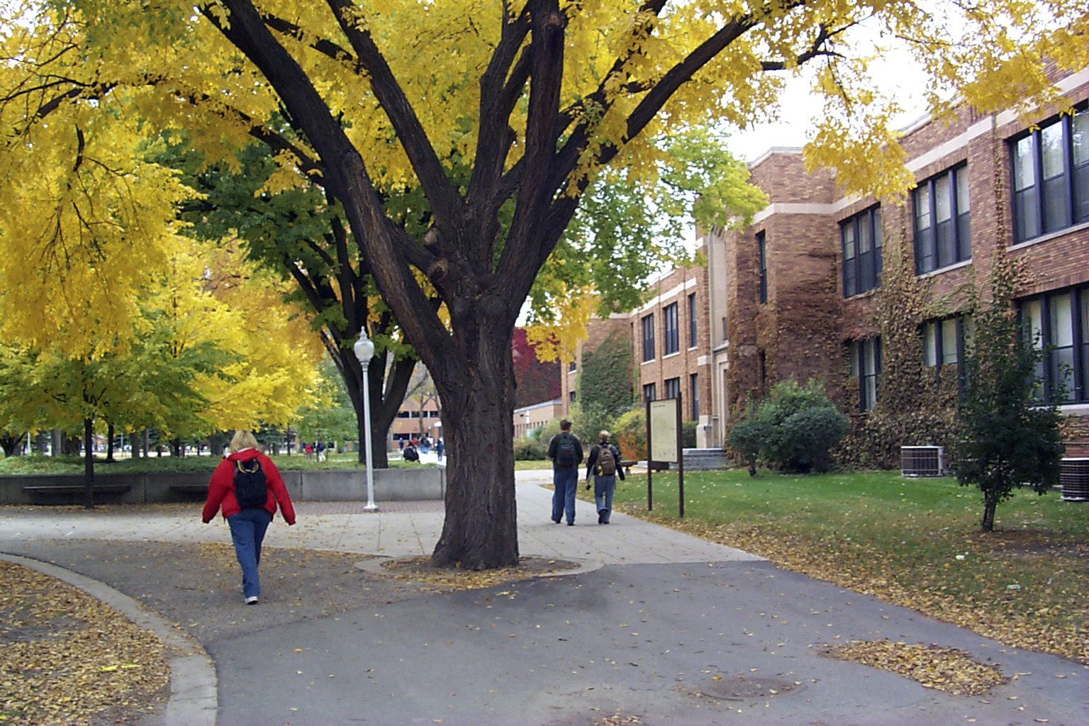 fall colors